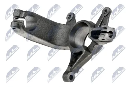 NTY ZZPRE022 Шкворень передний ( Renault Megane 02- левый)