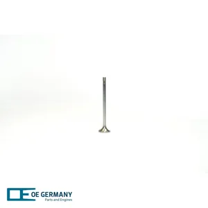 OE GERMANY 020520267605 02 0520 267605 Exhaust valve