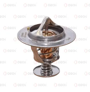 OECHI OE11065 Термостат