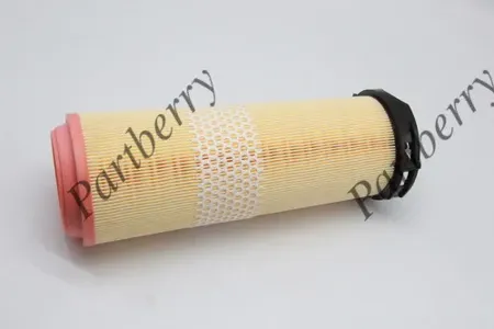 PARTBERRY PB130250 Воздушный фильтр MB W203W204 07-