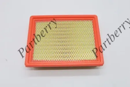 PARTBERRY PB130277 Воздушный фильтр Jac Sunray (23-)