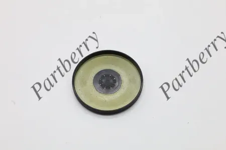 PARTBERRY PB132850 Заглушка Ford Volvo Focus IIC30C70S40S60 -18 распредвала