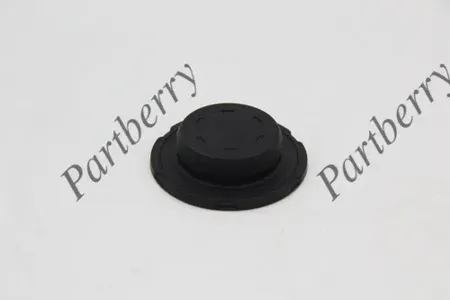PARTBERRY PB132868 Заглушка блока цилиндров VW Passat (B6)