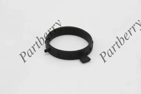 PARTBERRY PB132870 Кольцо уплотнительное Porsche Cayenne PANAMERA -17 свечного колодца