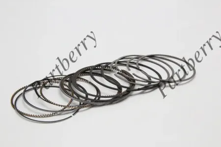 PARTBERRY PB132885 Кольца поршневые комплект Mazda 56MX-5 III -16