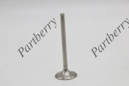PARTBERRY PB133308 Клапан OPEL ASTRA