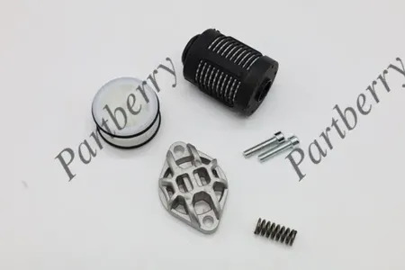 PARTBERRY PB134000 Фильтр АКПП VAG Passat Tiguan Q3