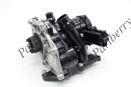 PARTBERRY PB200206 Водяной насос VW Golf VII Passat 12- с термостатом