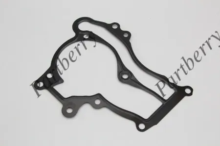 PARTBERRY PB567107 Прокладка водяного насоса Chevrolet Opel Astra J Cruze Corsa D Aveo Mokka Insignia Zafira C -19