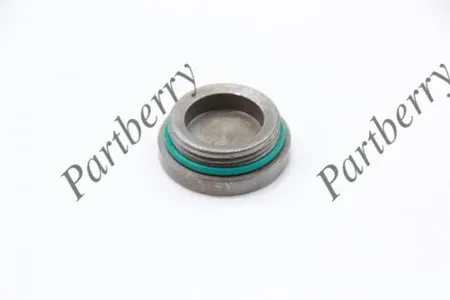 PARTBERRY PB572726 Заглушка Opel Astra J Mokka Insignia -19 болта распредвала
