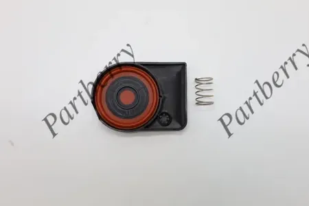 PARTBERRY PB572741 Ремкомплект клапана BMW MINI R5556 компл.