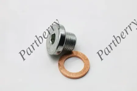 PARTBERRY PB575919 Пробка сливная поддона АКПП VAG