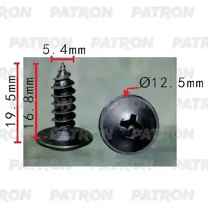 PATRON P372241 Саморез Nissan
