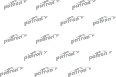 PATRON PSA534002 Амортизатор Hyundai Kia I20 Solaris RIO 10- задн.лев.прав.газ