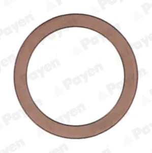 PAYEN KG5217 Кольцо уплотнительное фланцевое
