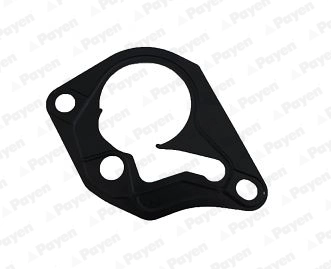 PAYEN KK5643 прокладка вакуумного насоса Renault Trafic 1.9dci 01>