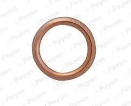 PAYEN PA349 прокладка пробки сливной Citroen XMZX 89-97, Renault Laguna 93-01