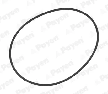 PAYEN PA709 Кольцо уплотнительное трамблера [126x133x3mm]