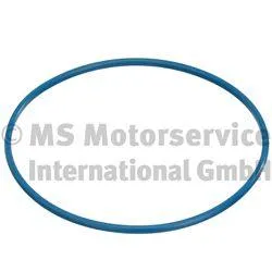 PIERBURG 332038000 Кольцо уплотнительное бензонасоса Citroen , Peugeot