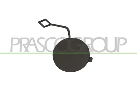 PRASCO VG8191235 Заглушка бампера