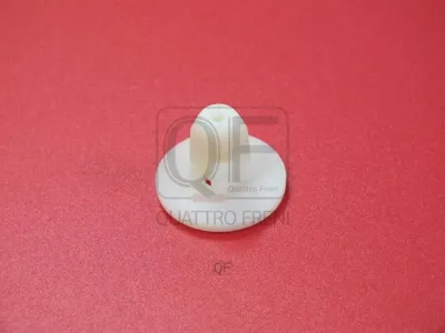 QUATTRO FRENI QF18G00004 Клипса BMW 1(F2021)