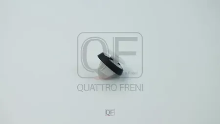 QUATTRO FRENI QF33G00105 Клипса Audi двери