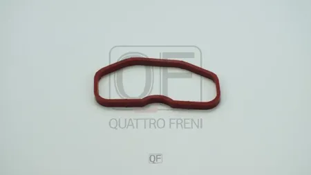 QUATTRO FRENI QF76A00073 Прокладка впускного коллектора