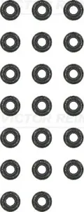 REINZ 123130603 Колпачек маслосъемный VAG A3 A4,A6,A8 TT Bora Golf Passat Polo Touareg 95- 1.8T2.03.74.2 (компл. 20 шт.)