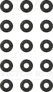 REINZ 123130610 Комплект маслосъемных колпачков 6x8.812.2x10 (15) BMW E46E39E60 2.2-3.0 M54 00>