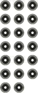 REINZ 123554902 Колпачек маслосъемный Ford Transit 3.2D-TDI (компл.)