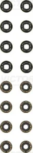 REINZ 124274101 к-кт мс колпачков VW Golf Polo 12>