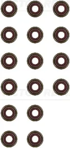 REINZ 125285103 Комплект маслосъемных колпачков 6x116x10.2 (16) Mitsubishi , Mazda , Honda 16V 83>