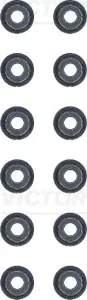 REINZ 125312902 Колпачек маслосъемный Daihatsu Ceria IV