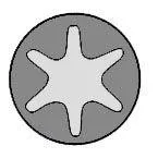 REINZ 143210601 Комплект болтов  ГБЦ 8шт. Mercedes W202W203W220W163 Vito 2.4-3.7 M112 96>