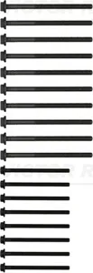 REINZ 143220401 Комплект болтов  ГБЦ 18шт. Ford Mondeo 2.0DiTDCi 00>