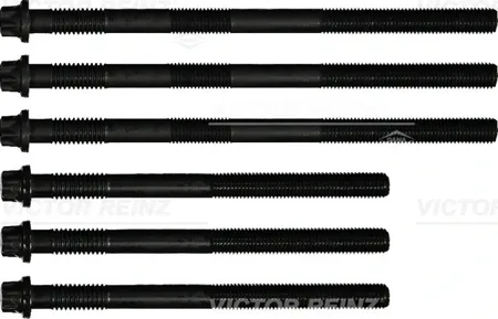 REINZ 143291801 Комплект болтов ГБЦ MAN Truck
