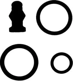 REINZ 153864202 К-кт распылителя Audi A4 III (8ECB7)