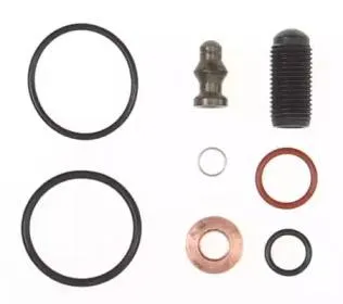 REINZ 153864203 Ремкомплект насос-форсунки Audi A2A3A4A6, VW Polo Golf Bora Passat 1.2-5.0TDi 95>