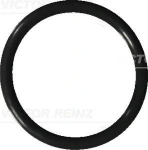 REINZ 407604120 прокладка пробки сливной 18x22x2 Opel Astra Corsa Vectra all 93>
