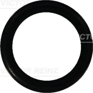 REINZ 407605210 Кольцо уплотнительное
