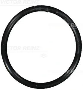 REINZ 407610100 Кольцо уплотнительное FPM (Fluor-Kautschuk) 3x34x40