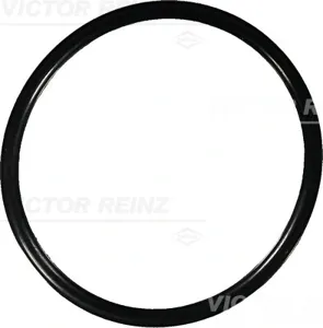REINZ 407615000 Кольцо уплотнительное MAN