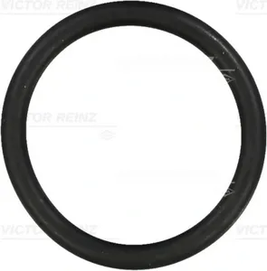 REINZ 407631300 Уплотнительное кольцо
