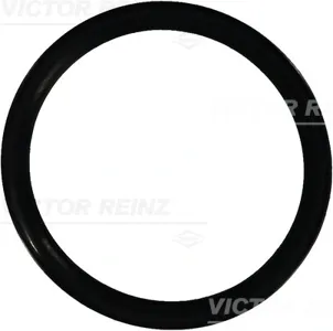 REINZ 407693310 Прокладка клапанной крышки Mercedes W201W124 2.02.3 M102 84>