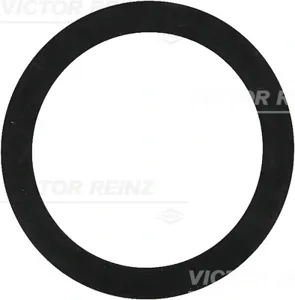 REINZ 407739200 Прокладка термост.