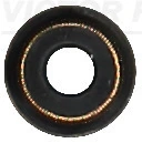 REINZ 701793000 Колпачек маслосъемный