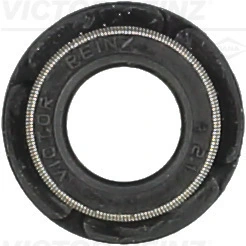REINZ 703111200 Колпачек маслосъемный RVI MIDR 06.20.45 (мин. 10)