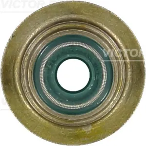REINZ 703303200 Колпачек маслосъемный 6x1224x20 (1) IN Ford Mondeo 1.6-2.0 16V ZETEC 92>