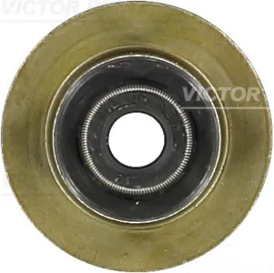 REINZ 703434300 Колпачек маслосъемный Ford Cougar Mondeo 2.5 93-01