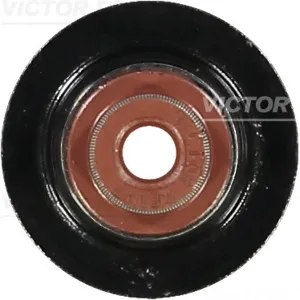 REINZ 703554400 Колпачек маслосъемный (1) EX Ford Fiesta Focus Mondeo , Mazda 56 1.62.02.3 00>